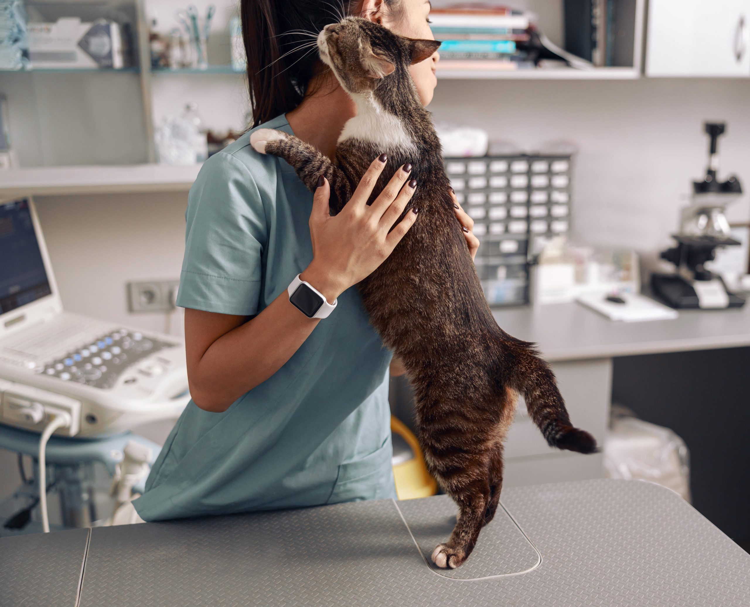 asian-veterinarian-in-uniform-hugs-tabby-cat-at-ta-2023-11-27-05-06-37-utc-min (1)