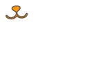 LGVet_Gatto