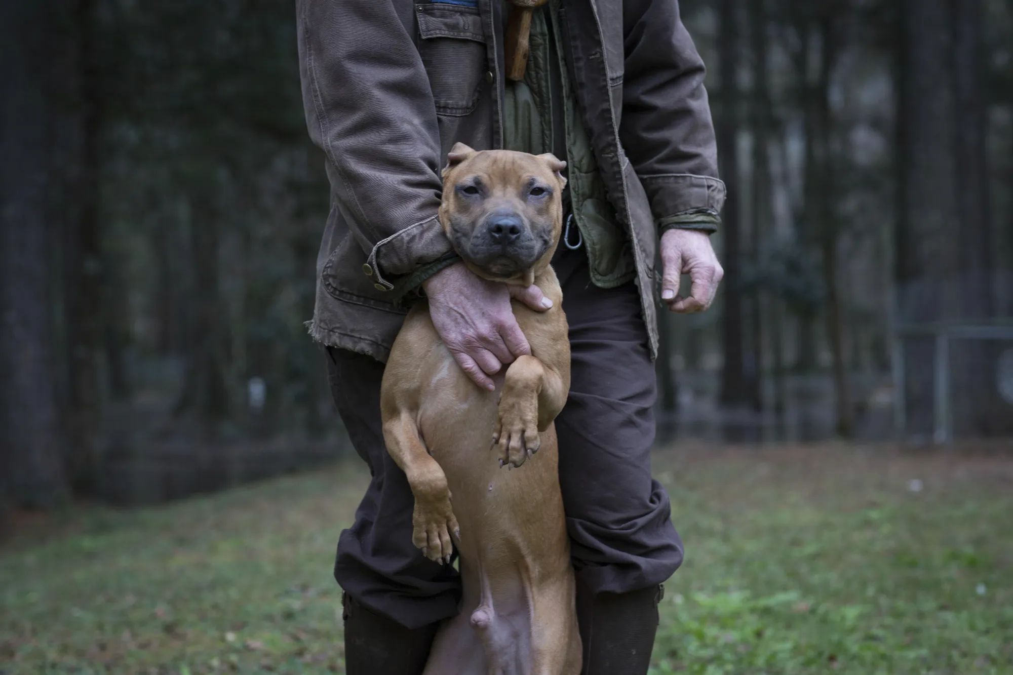 man-and-pet-dog-standing-on-hind-legs-2024-06-26-21-33-06-utc