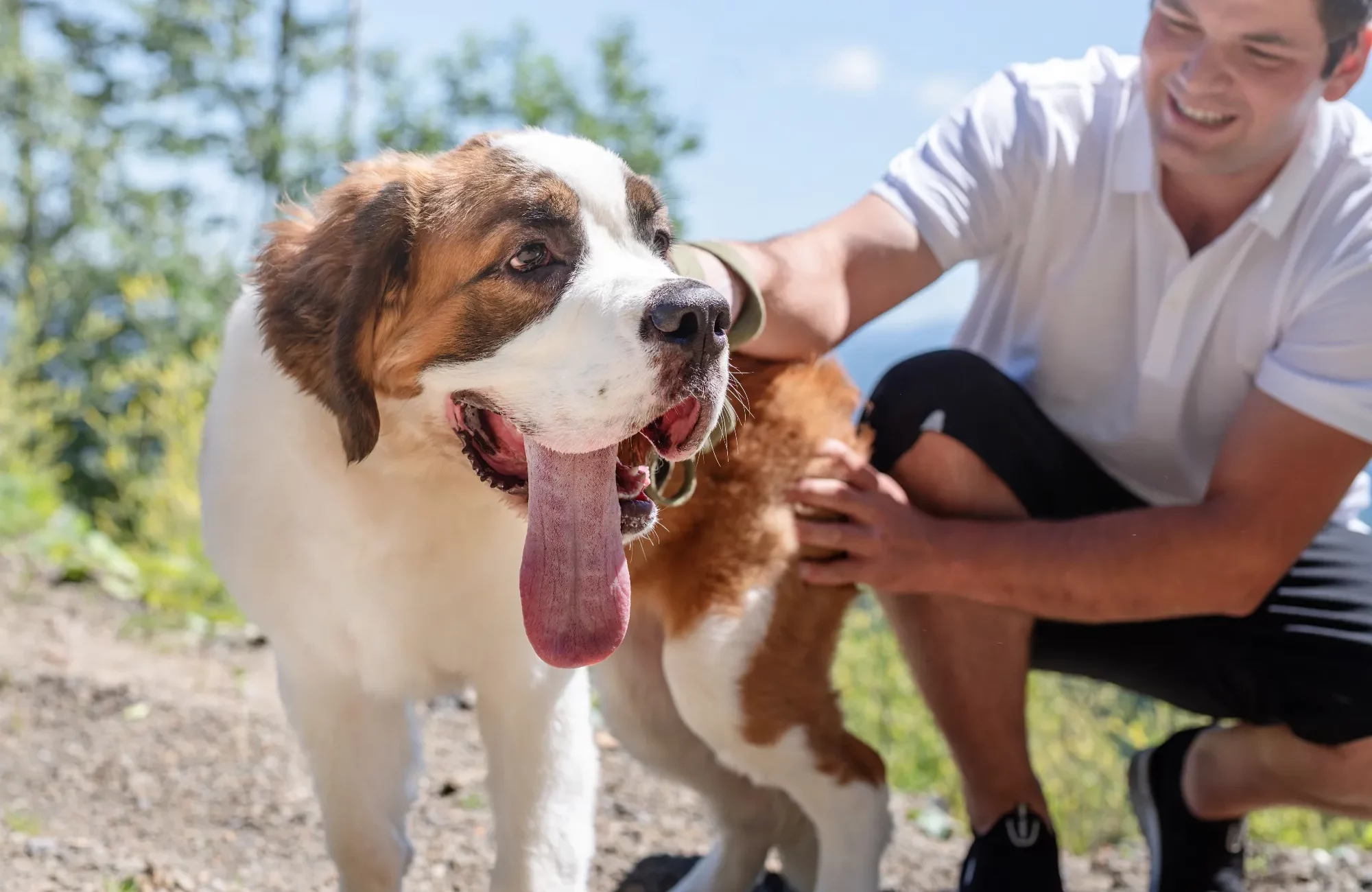 young-man-travelling-with-young-dog-at-the-mountai-2023-11-27-04-57-41-utc